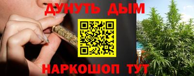 сатива Кинель