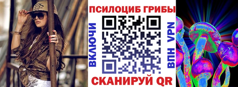 Псилоцибиновые грибы Psilocybine cubensis кракен tor Пенза