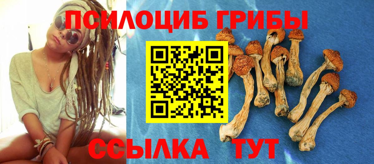 Псилоцибиновые грибы Psilocybine cubensis  Вход с VPN  Пенза 