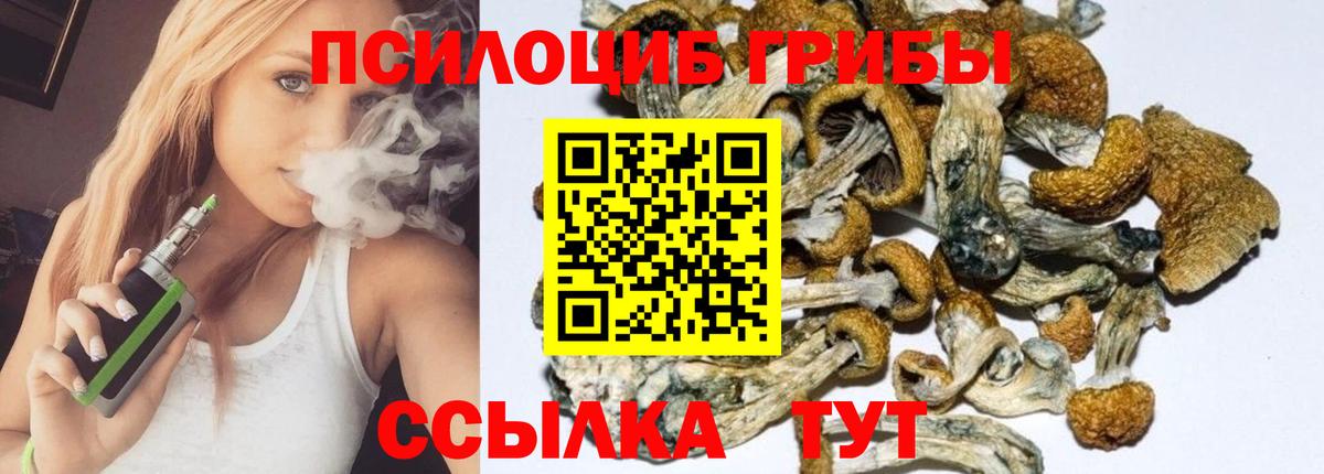 Псилоцибиновые грибы прущие грибы Пенза